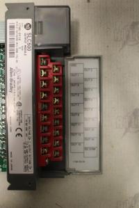 photo of MISC00715