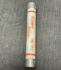photo of AEF01243