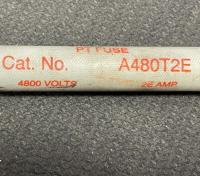 photo of AEF01243