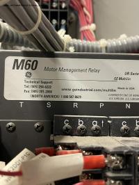 photo of MVSG00111-1
