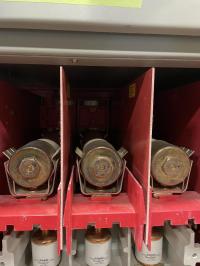 photo of AEF01444
