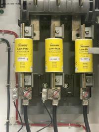 photo of VFD00484