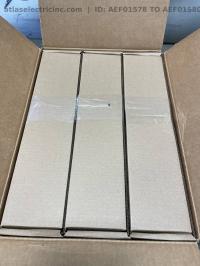 photo of AEF01578