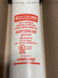 photo of AEF01584