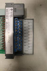 photo of MISC00717