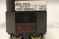 photo of MISC01182