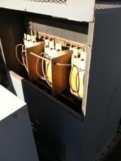 photo of COLT013