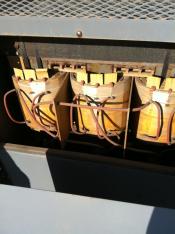 photo of COLT013