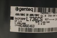 photo of MISC01391