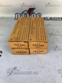 photo of MISC01478