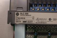 photo of MISC01553