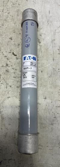 photo of AEF00833