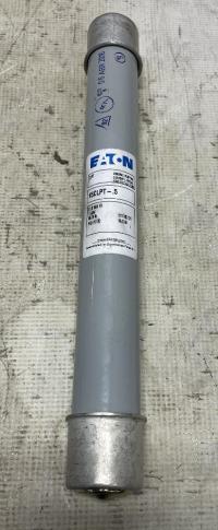 photo of AEF00833
