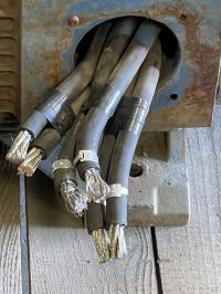photo of AEM00544