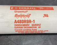 photo of AEF01067