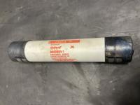 photo of AEF01067
